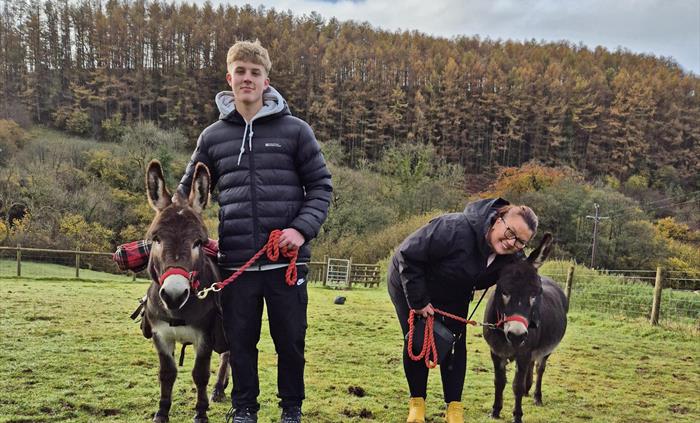Mothers day mini donkey experience